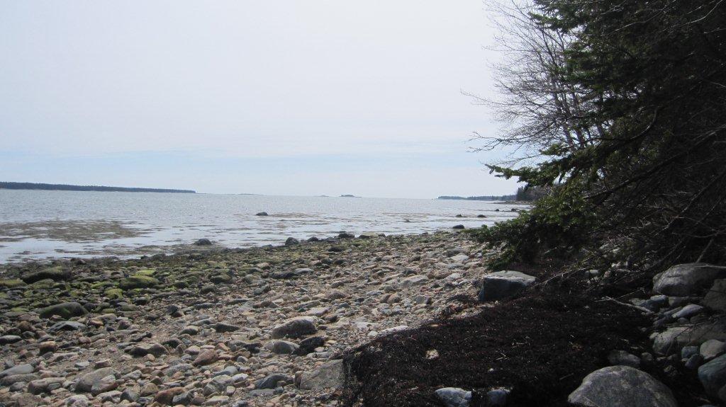 503 Paul Bunyan Road Corea, ME 04624 - Photo 6 of 8 Photo