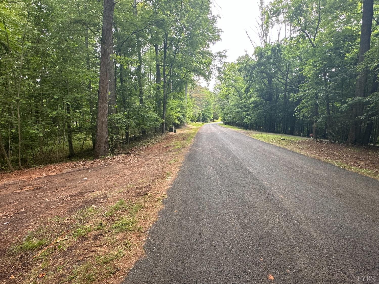 -lot D Burgess Road Madison Heights, VA 24572 - Photo 3 of 8 a view of a road with trees in front of it