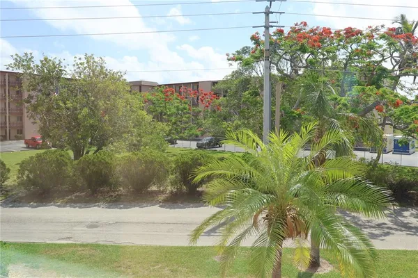 a view of a yard with plants
