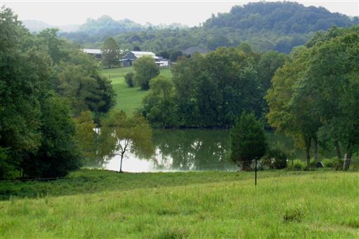4 Three 3 Fork Bridge Road Wartrace, TN 37183 - Photo 1 of 5 Gallery Image 1