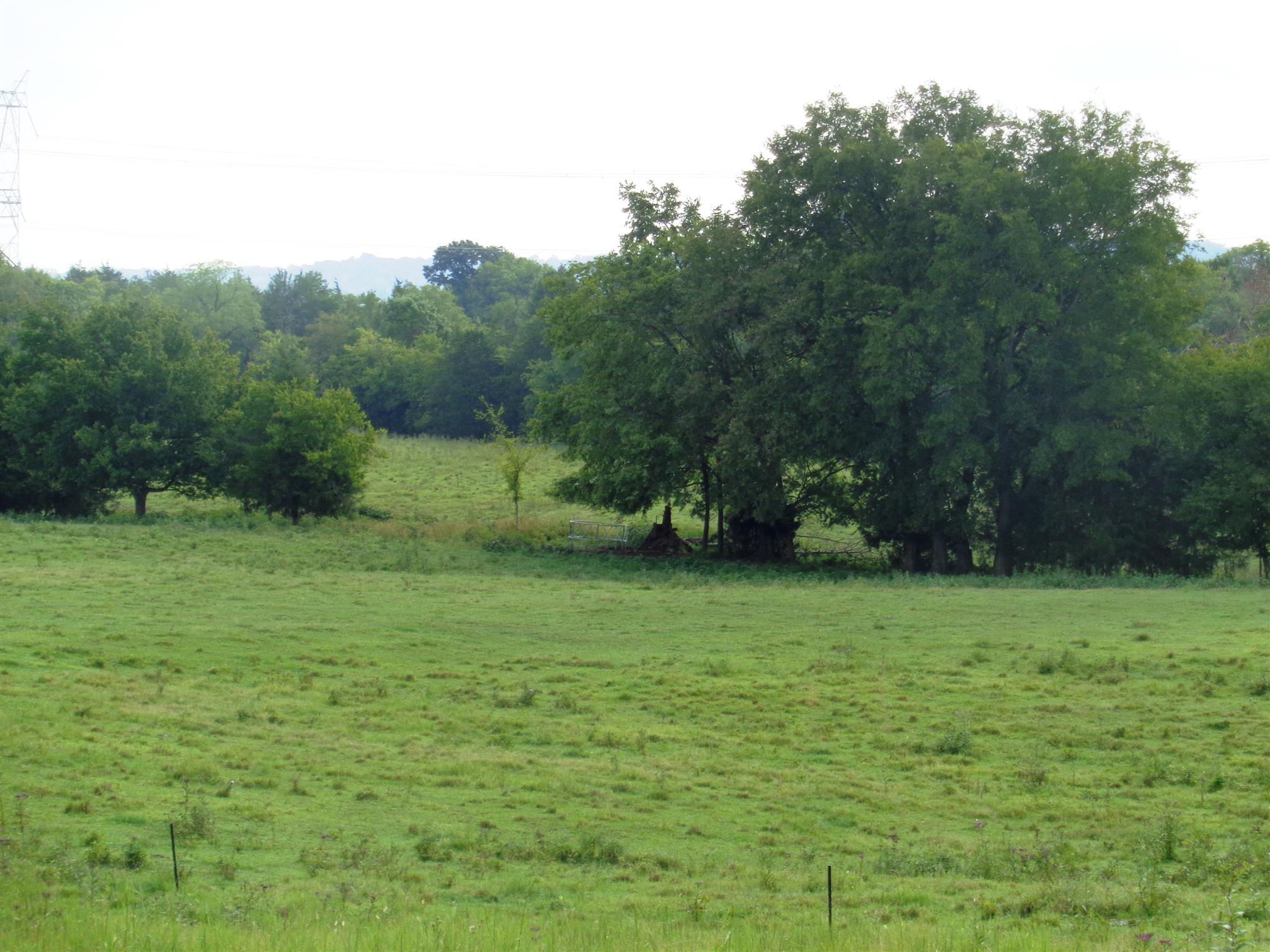 4 Three 3 Fork Bridge Road Wartrace, TN 37183 - Photo 2 of 5 Gallery Image 2
