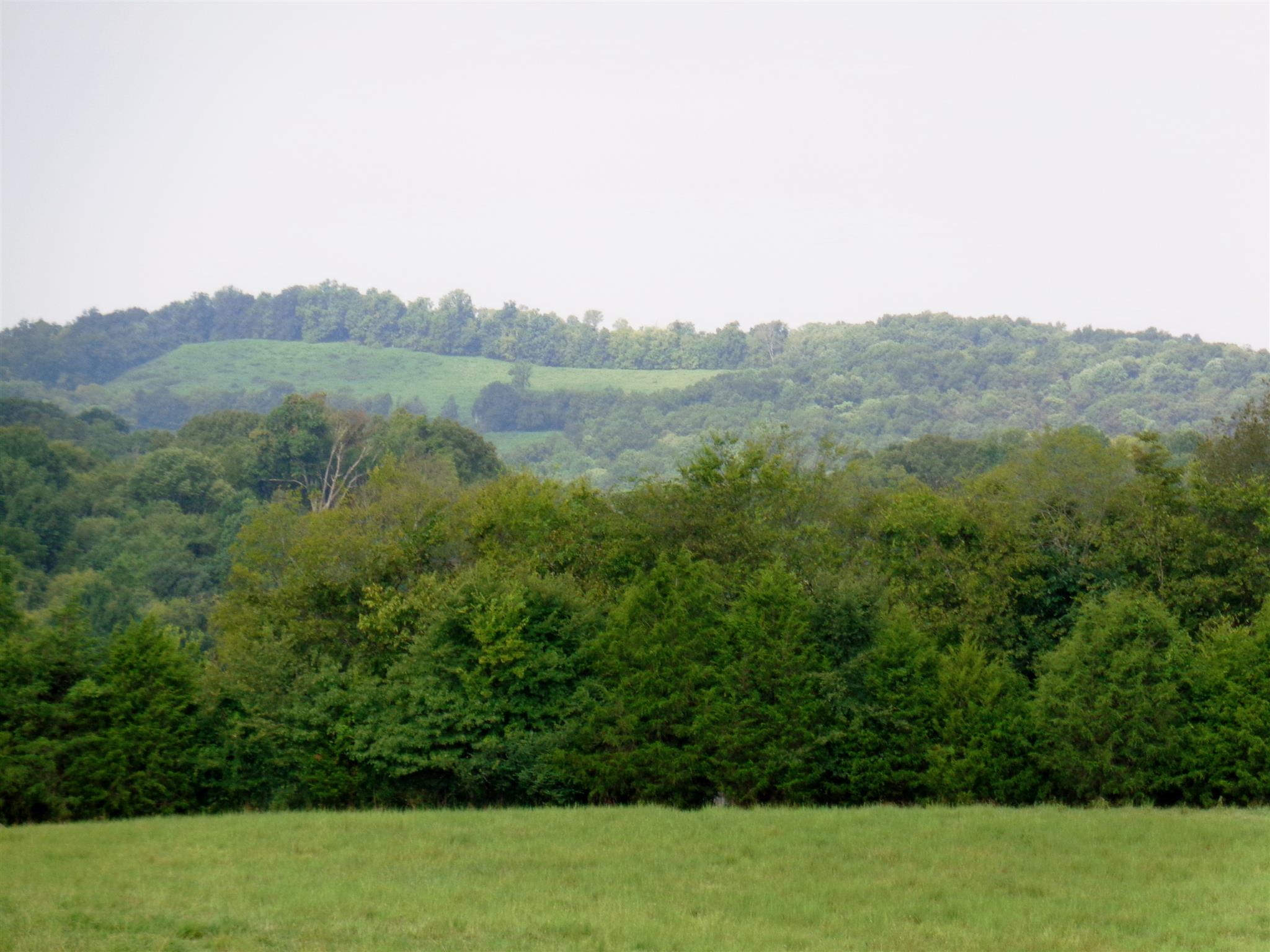 4 Three 3 Fork Bridge Road Wartrace, TN 37183 - Photo 4 of 5 Gallery Image 4