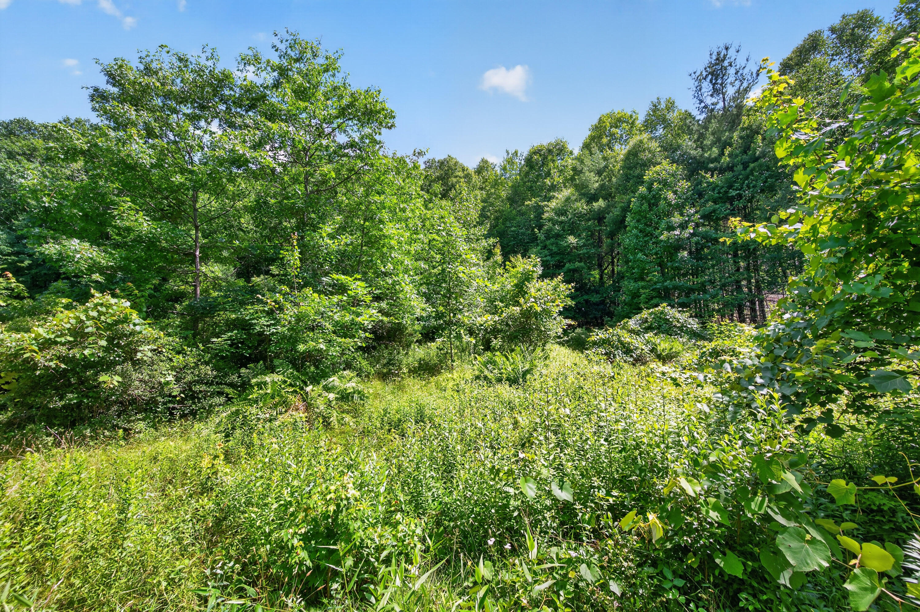 6196 Chances Creek Road Fancy Gap, VA 24328 - Photo 47 of 78 48