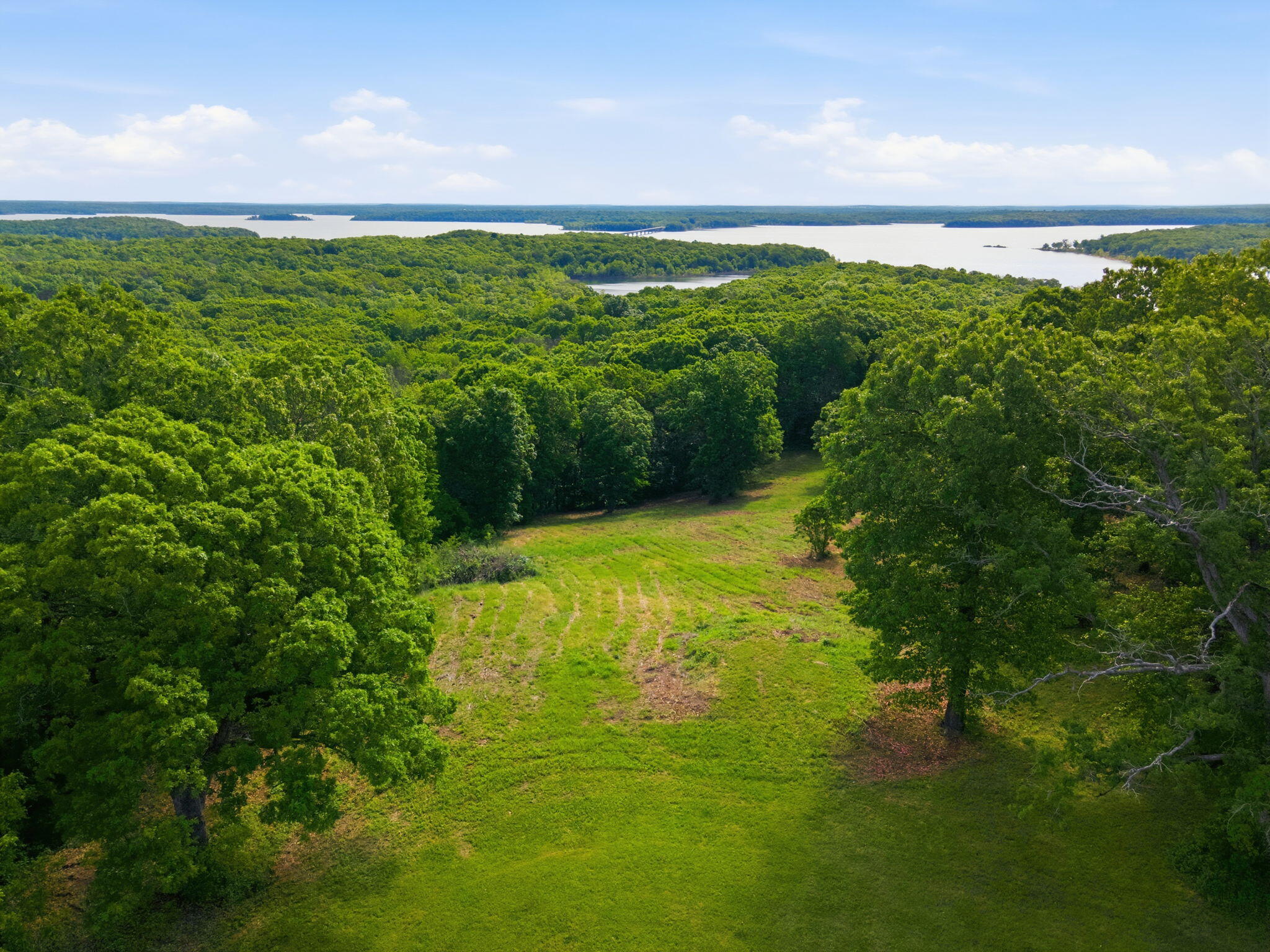 0 1481 Road Stockton, MO 65785 - Photo 1 of 14 17-web-or-mls-DJI_0193