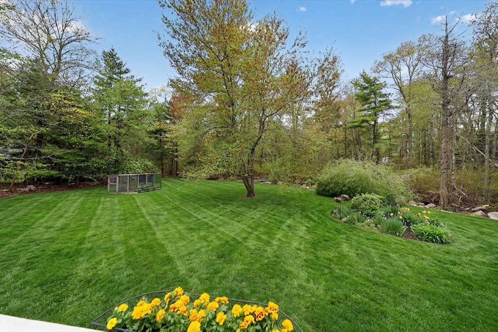 59 First Parish Road Norwell, MA 02061 - Photo 32 of 37 a green field with lots of bushes