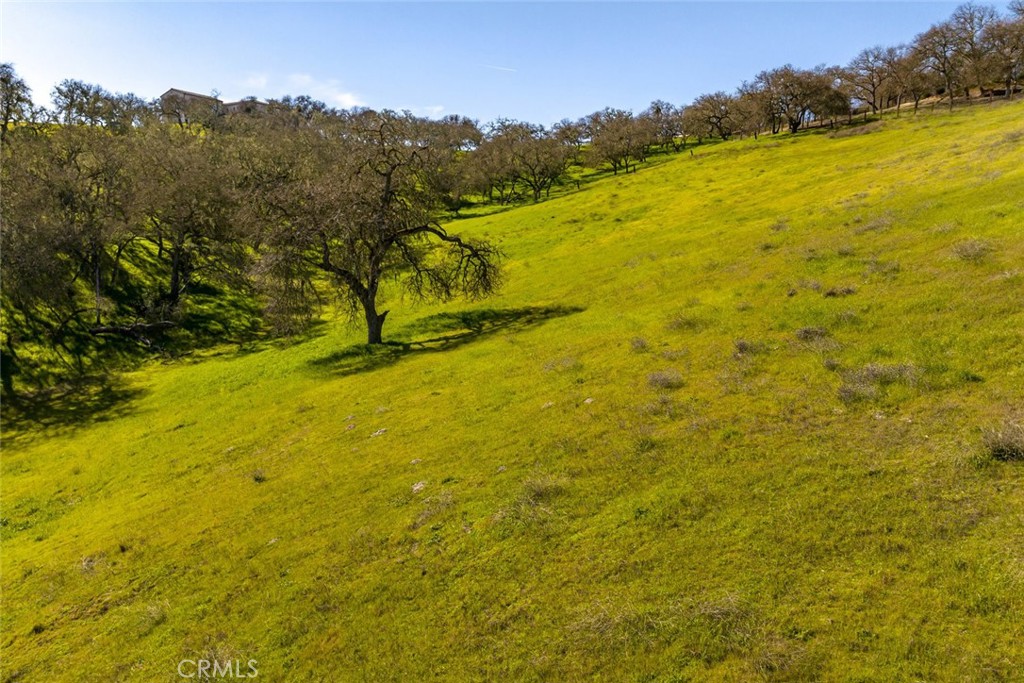 1855 Hanging Tree Road Templeton, CA 93465 - Photo 19 of 20