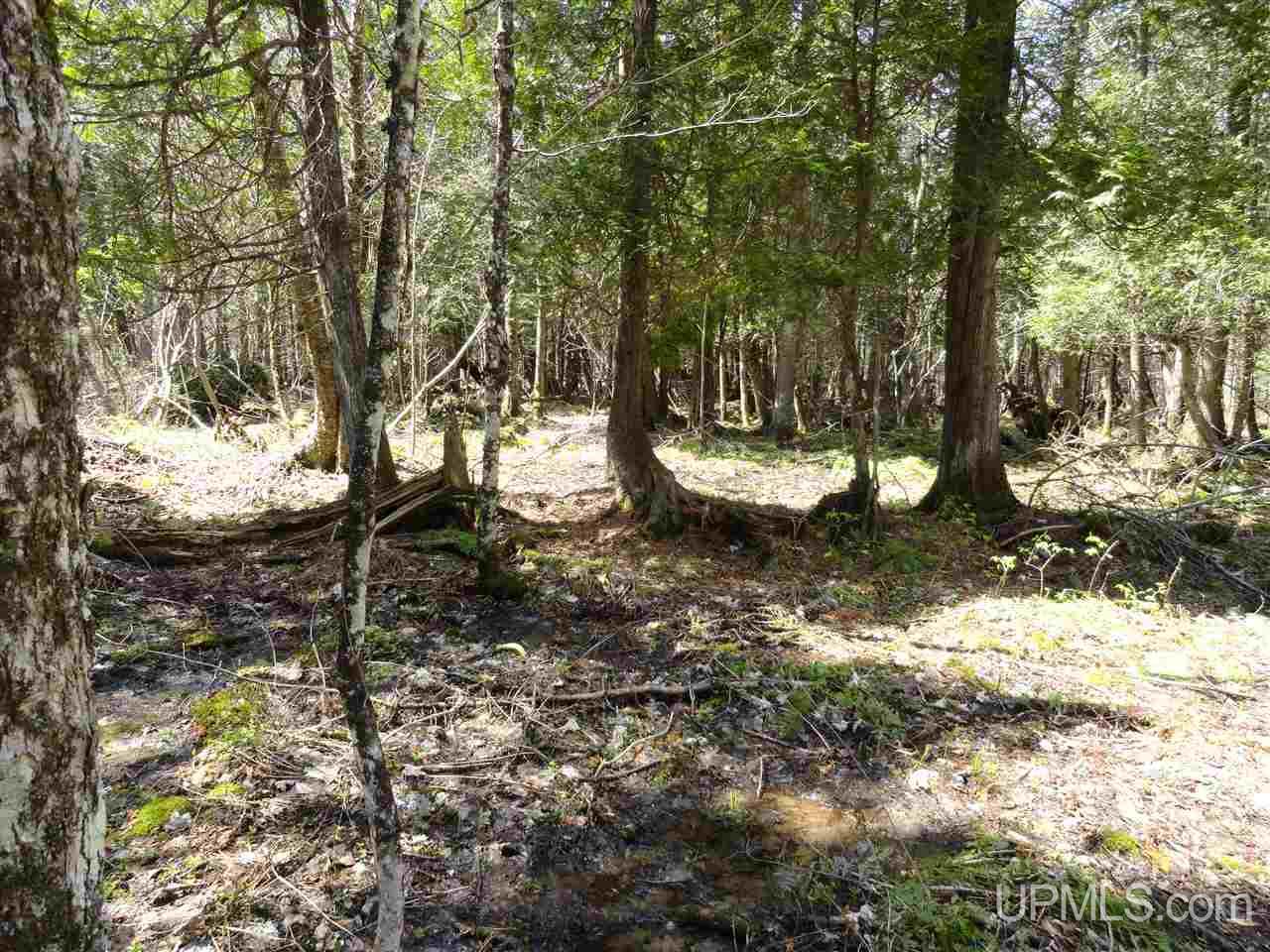 Johnson Road Skandia, MI 49885 - Photo 29 of 29
