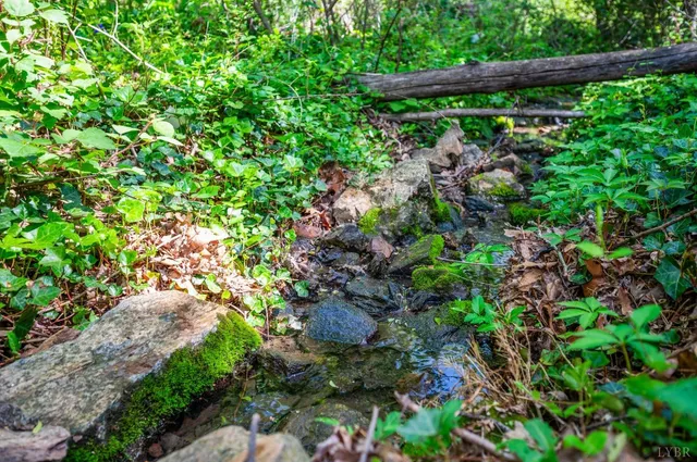 a view of a small yard