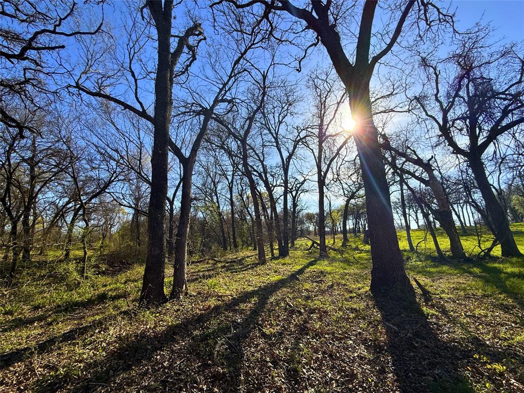 2196 Old Agnes Road Weatherford, TX 76088 - Photo 30 of 35