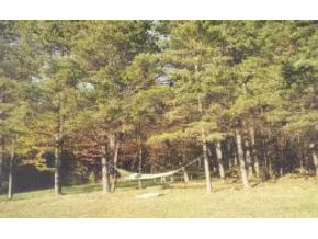 8787 West Elwren Road Bloomington, IN 47403 - Photo 15 of 16 Gallery Image 15