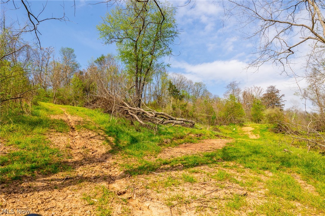 0 Twp Road, Unit 4 Whipple, OH 45788 - Photo 8 of 10