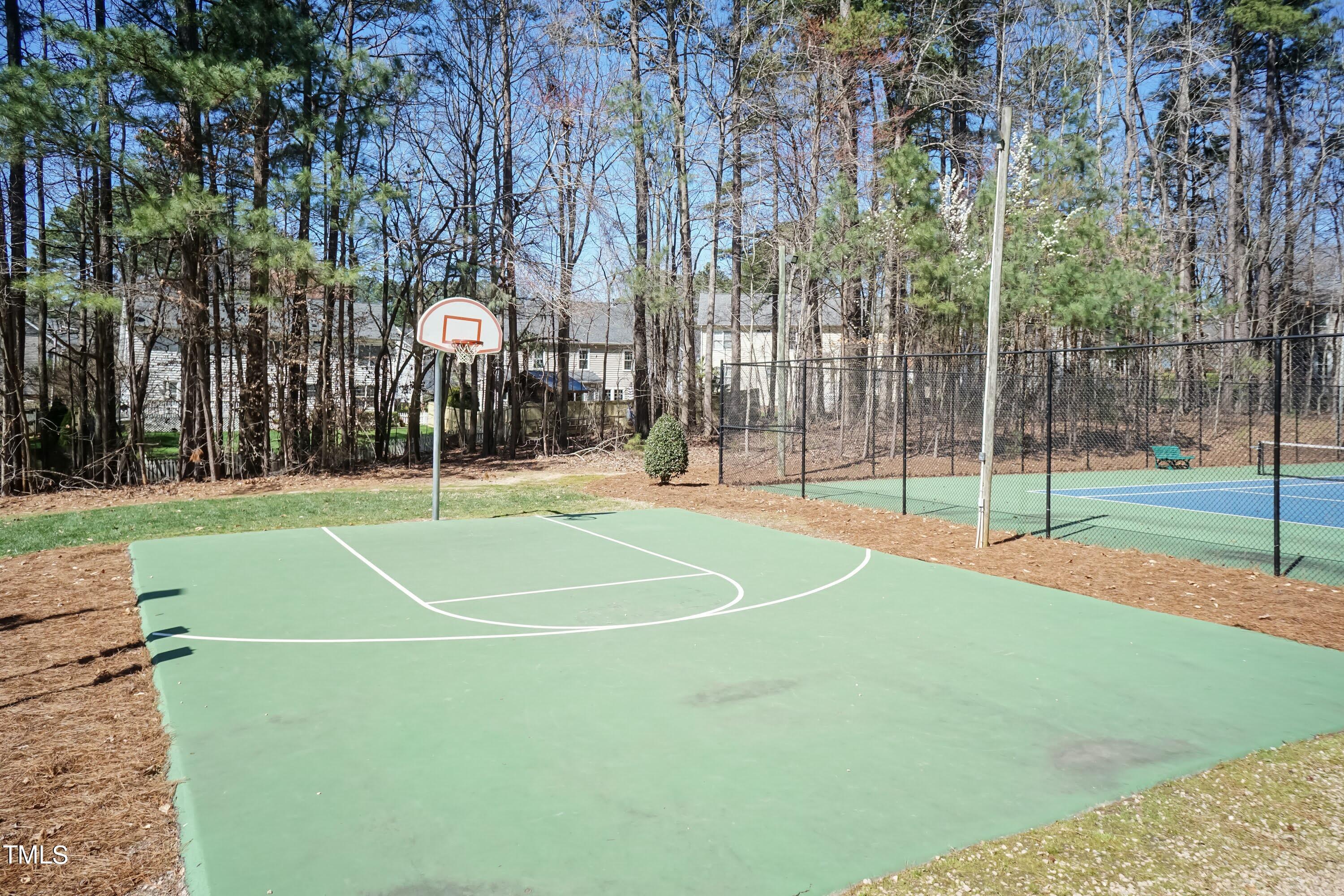 9628 Miranda Drive Raleigh, NC 27617 - Photo 32 of 36 Basketball 01