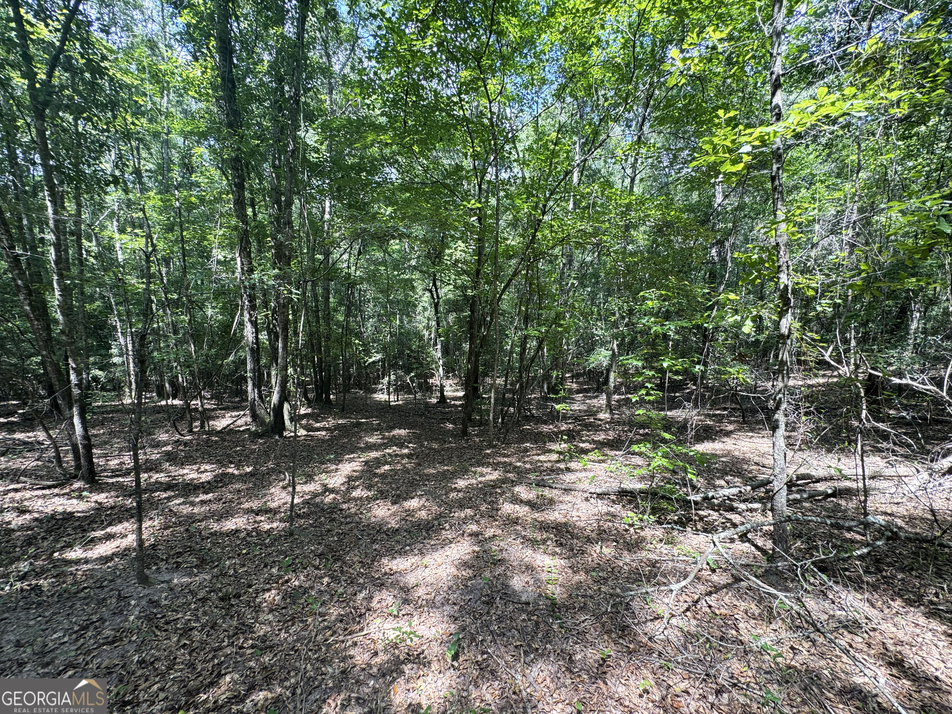 Tbd Tbd Wooten Road Cuthbert, GA 39840 - Photo 54 of 71