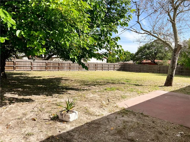 a view of a yard with trees