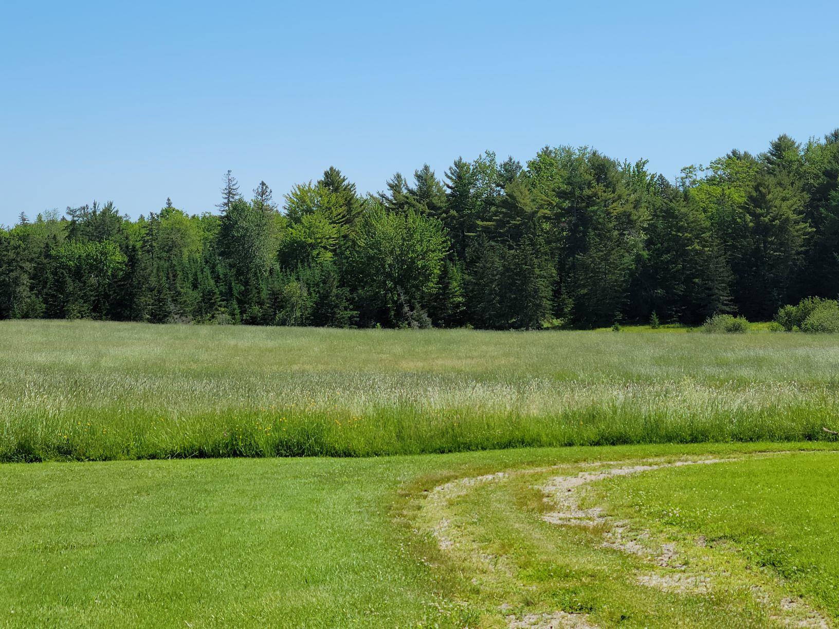 160-164 Southern Bay Road Penobscot, ME 04476 - Photo 11 of 78 Hay field 3