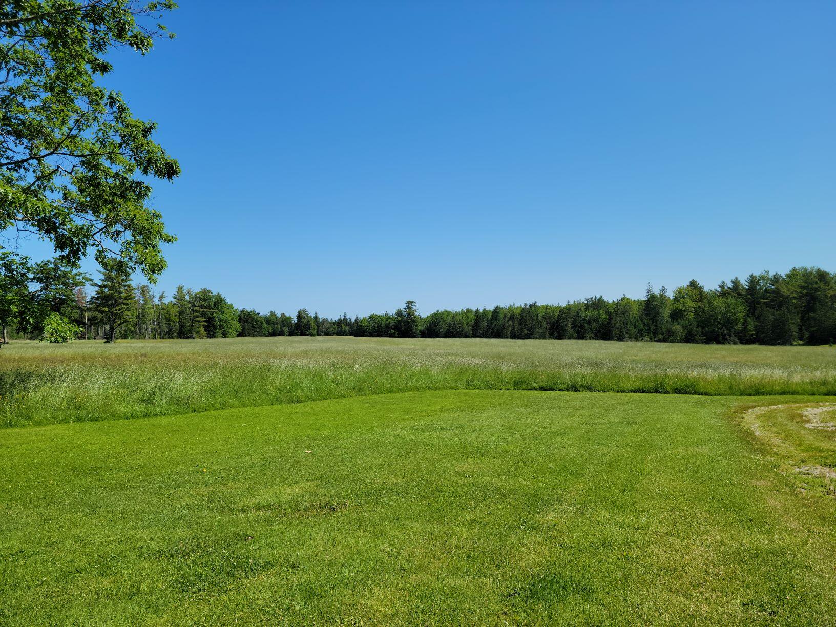 160-164 Southern Bay Road Penobscot, ME 04476 - Photo 14 of 78 Hay fields, yard and beyond