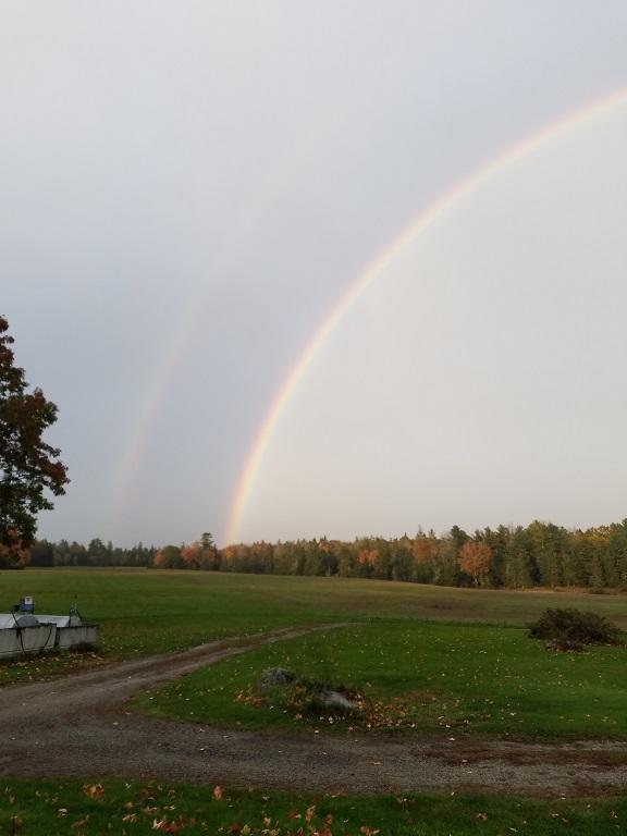 160-164 Southern Bay Road Penobscot, ME 04476 - Photo 21 of 78 Field 9
