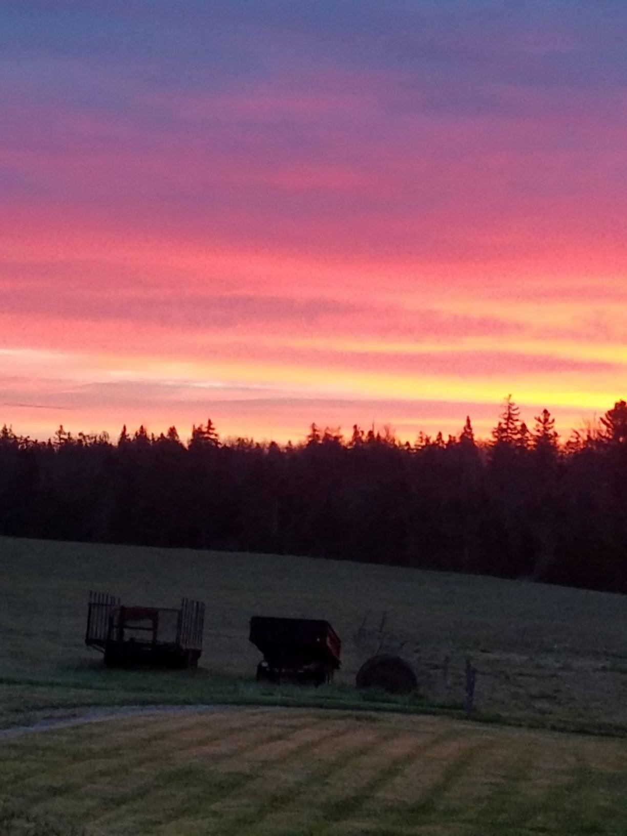 160-164 Southern Bay Road Penobscot, ME 04476 - Photo 23 of 78 sunrise over field