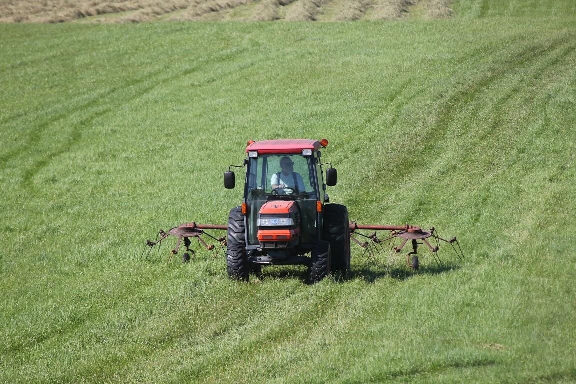160-164 Southern Bay Road Penobscot, ME 04476 - Photo 24 of 78 Field view haying 6