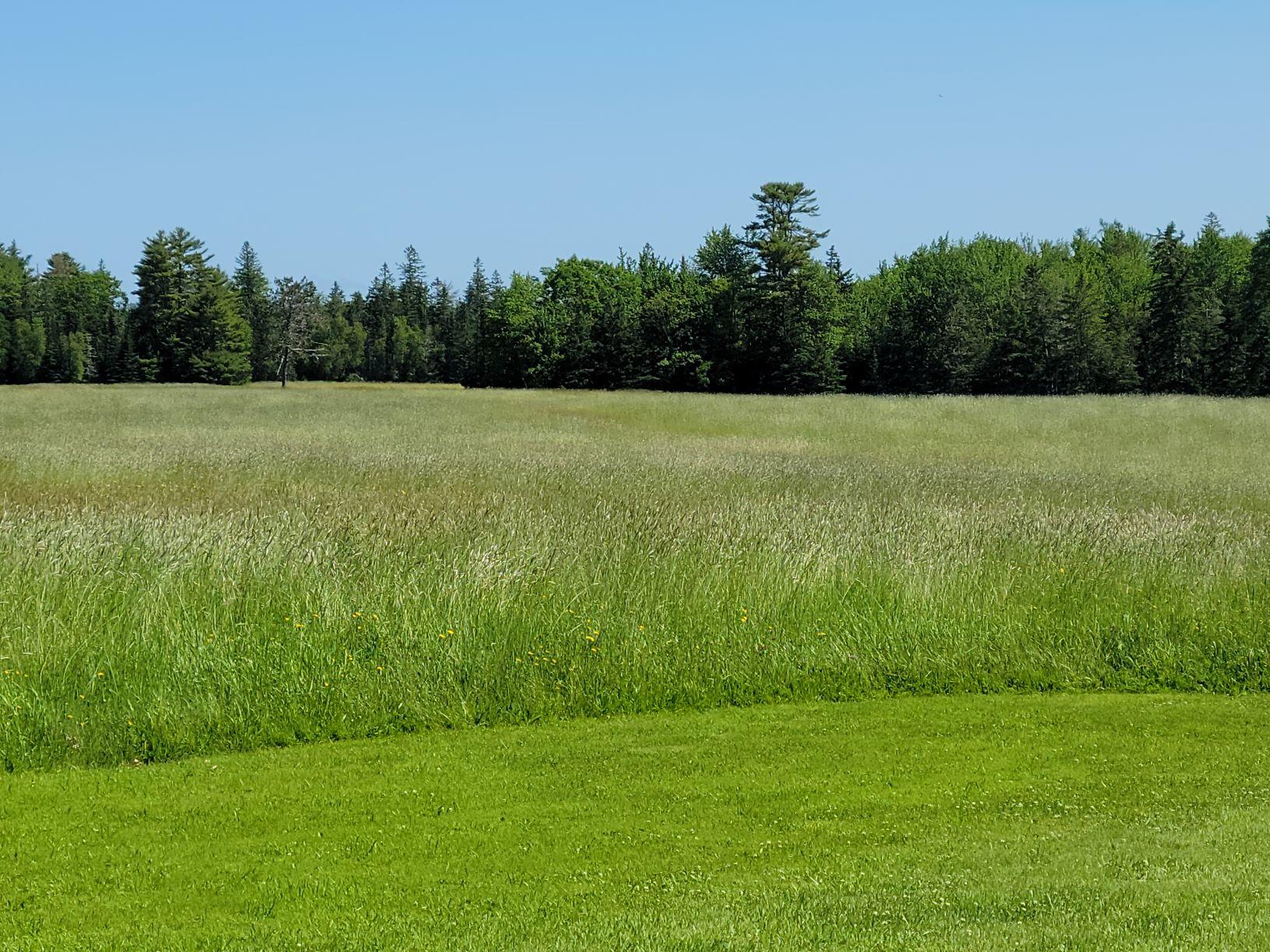160-164 Southern Bay Road Penobscot, ME 04476 - Photo 25 of 78 Hay field 4