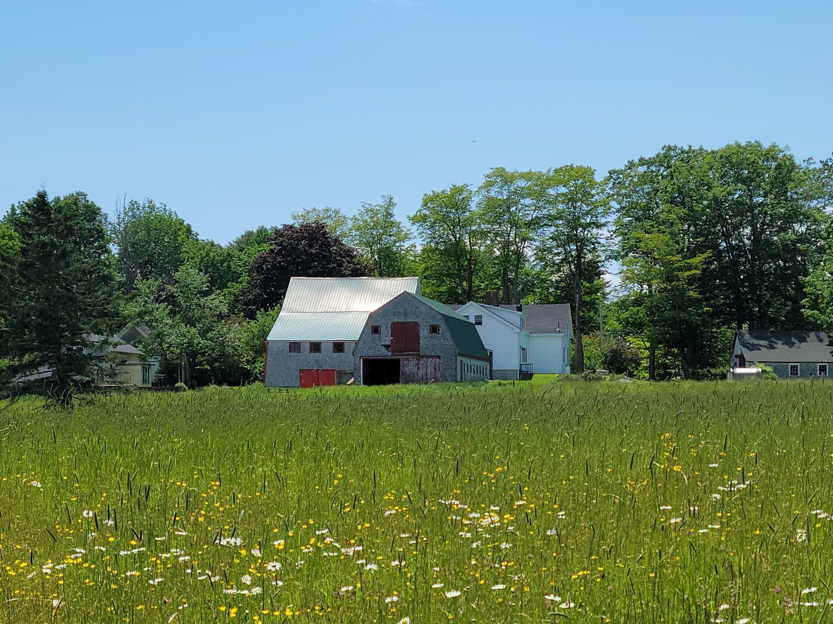 160-164 Southern Bay Road Penobscot, ME 04476 - Photo 28 of 78 Hay field looking at farm house & barns