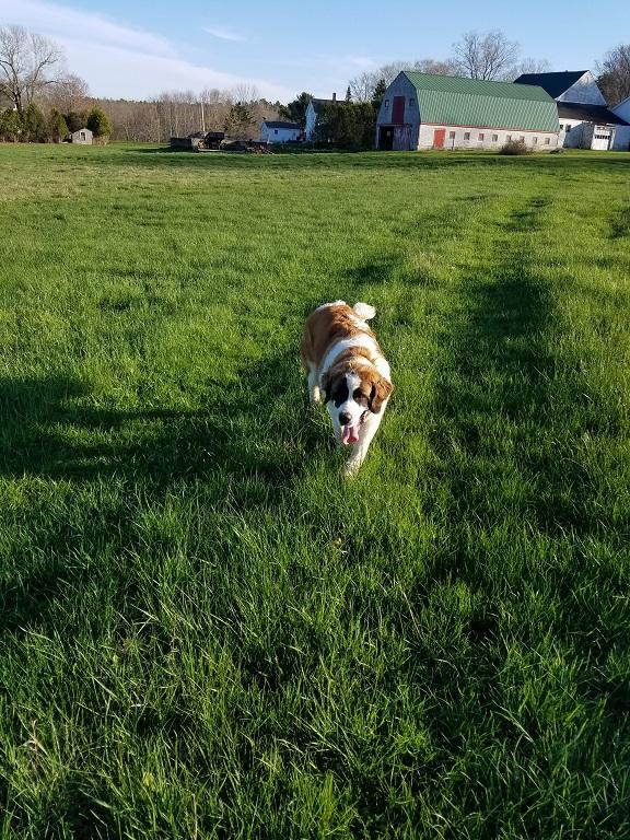 160-164 Southern Bay Road Penobscot, ME 04476 - Photo 54 of 78 Field 5