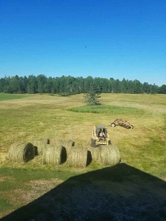 160-164 Southern Bay Road Penobscot, ME 04476 - Photo 56 of 78 Field 7