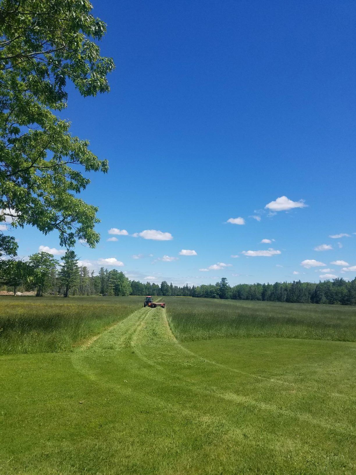 160-164 Southern Bay Road Penobscot, ME 04476 - Photo 57 of 78 Field view Summer haying 6