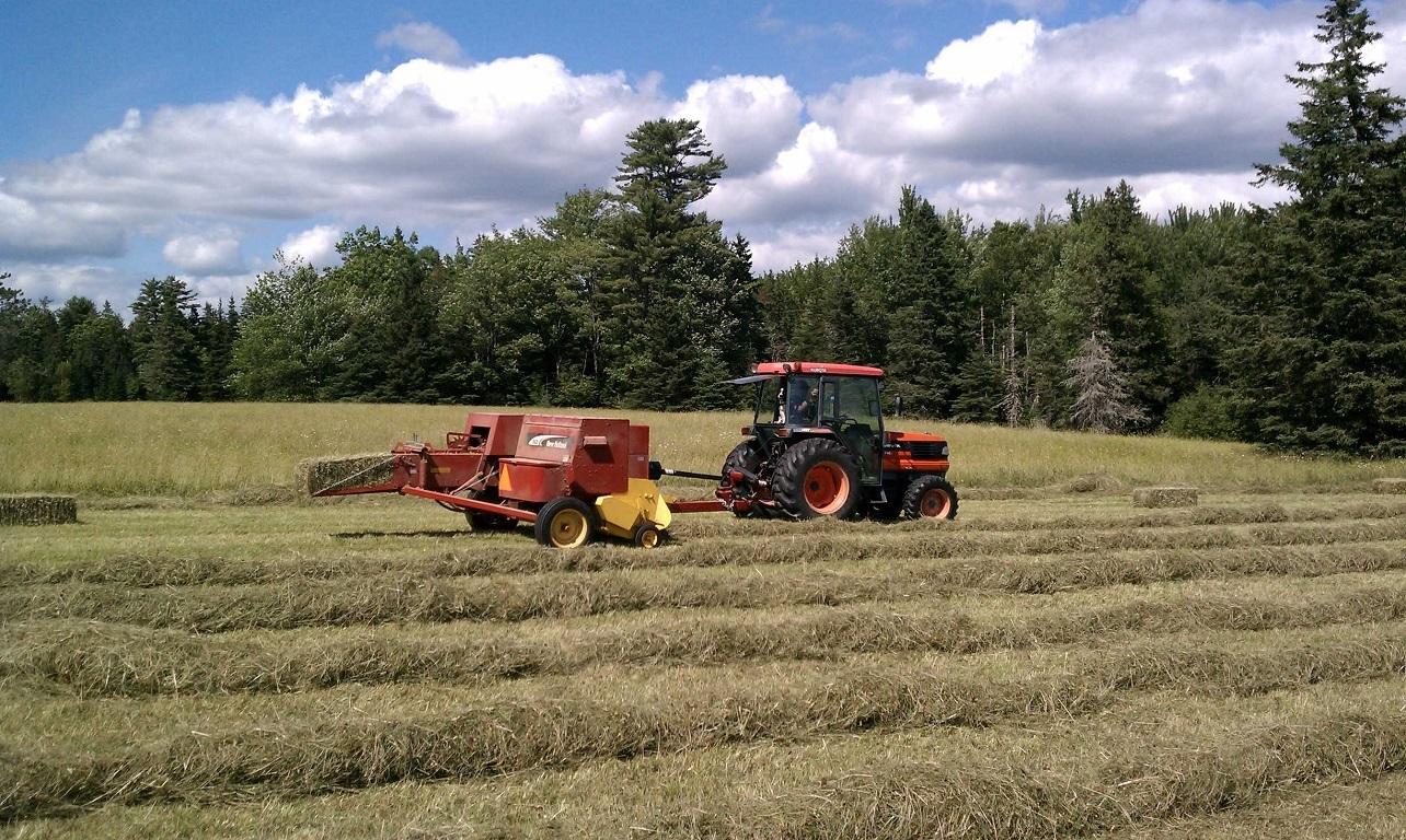 160-164 Southern Bay Road Penobscot, ME 04476 - Photo 58 of 78 Field view summer haying
