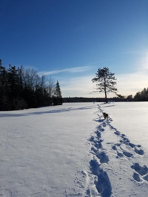 160-164 Southern Bay Road Penobscot, ME 04476 - Photo 59 of 78 Field 3