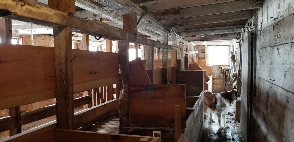 160-164 Southern Bay Road Penobscot, ME 04476 - Photo 62 of 78 Barn dairy cow section 2