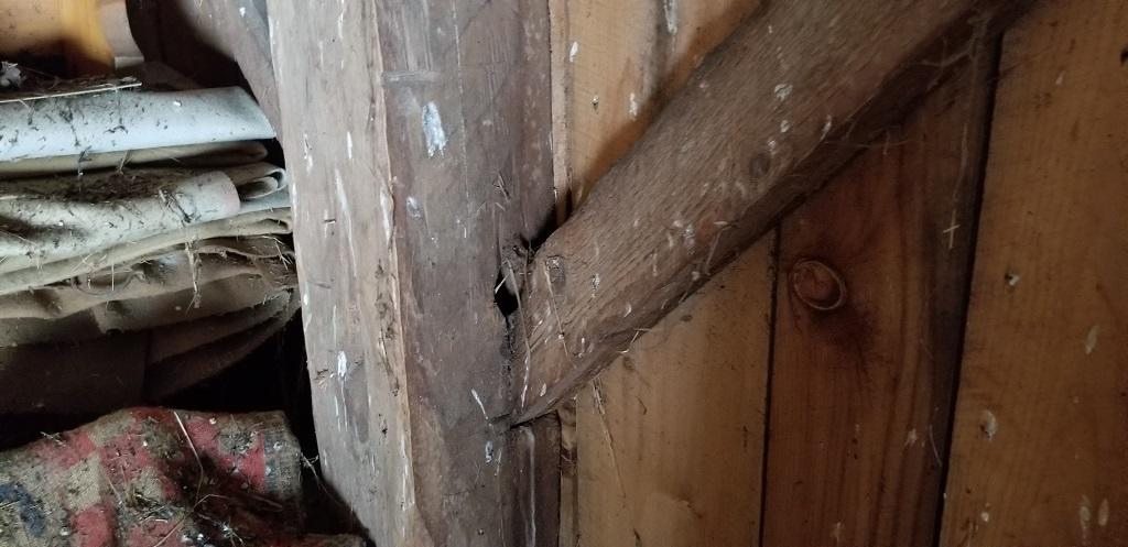 160-164 Southern Bay Road Penobscot, ME 04476 - Photo 65 of 78 Barn construction post & beam