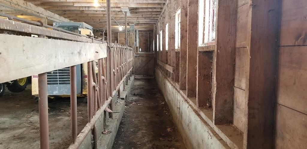 160-164 Southern Bay Road Penobscot, ME 04476 - Photo 73 of 78 new barn feeding stall 2