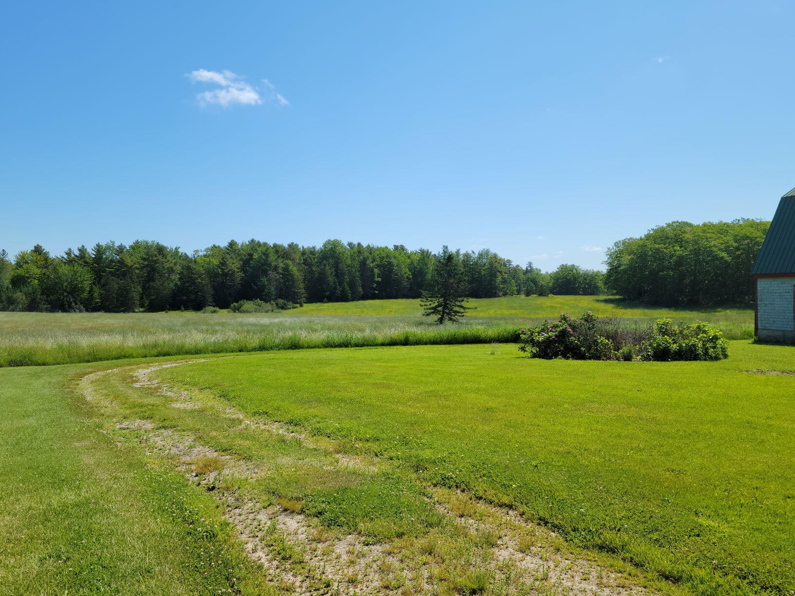 160-164 Southern Bay Road Penobscot, ME 04476 - Photo 8 of 78 Hay field, yard & beyond