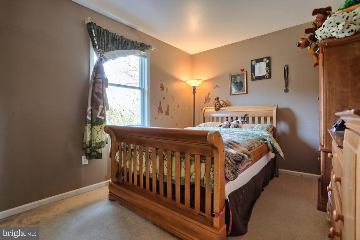 1551 Mt Wilson Road Palmyra, PA 17078 - Photo 26 of 40 Gallery Image 26