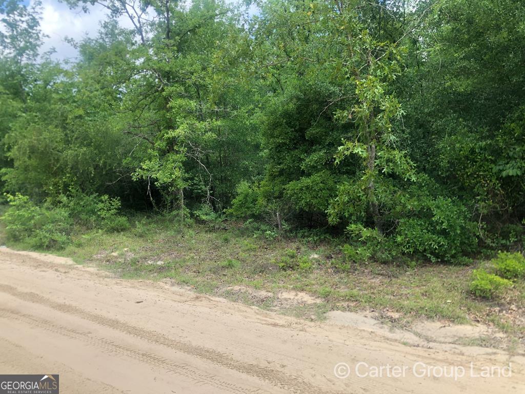 Lot 63 Linden Road Jesup, GA 31545 - Photo 1 of 1 Main View