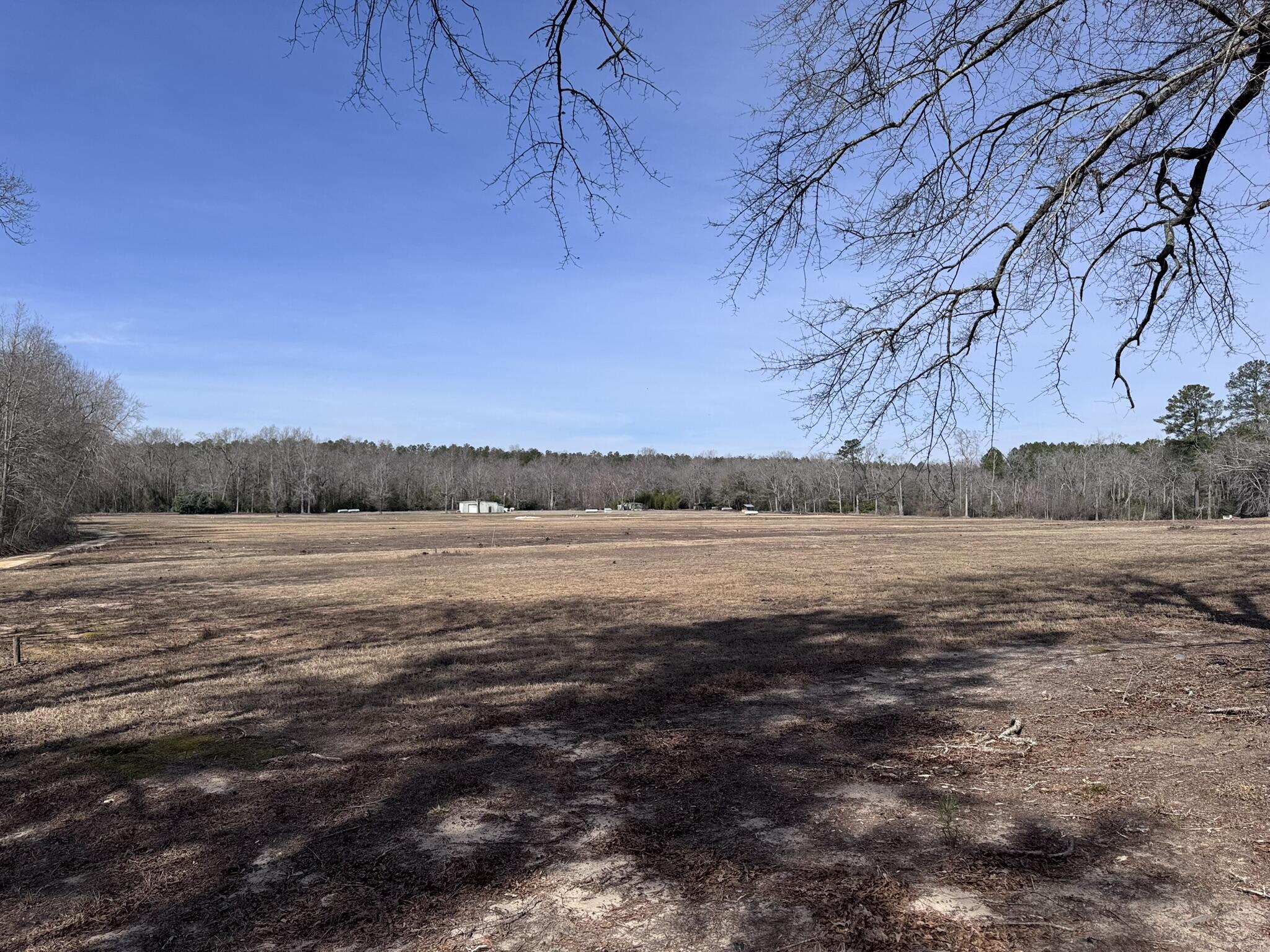 830 Colbert Bridge Road Windsor, SC 29856 - Photo 6 of 10
