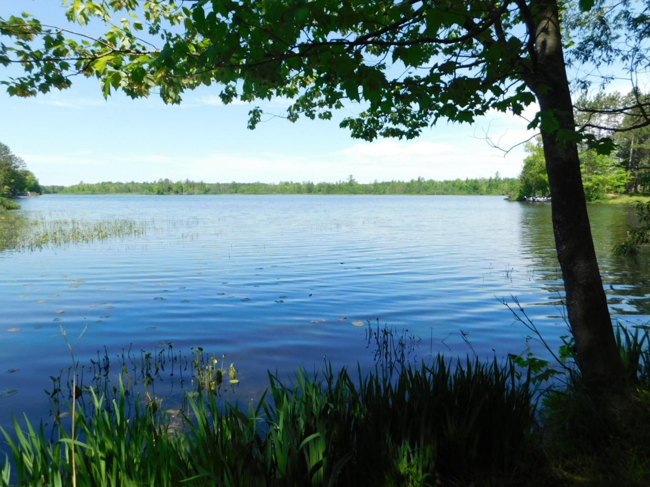 W6075 Duck Point Road, Unit WOOD DUCK Tomahawk, WI 54487 - Photo 16 of 20 Gallery Image 16