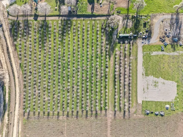 a view of a lake with houses in the background