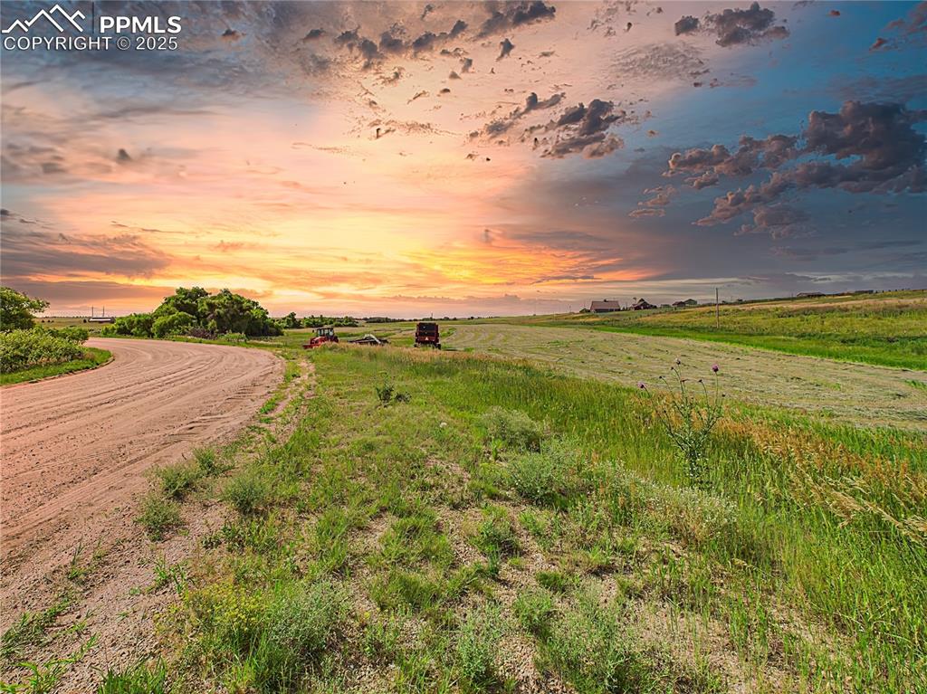 11834 Cave Spring Road Franktown, CO 80116 - Photo 42 of 50 a view of a big yard with lots of green space