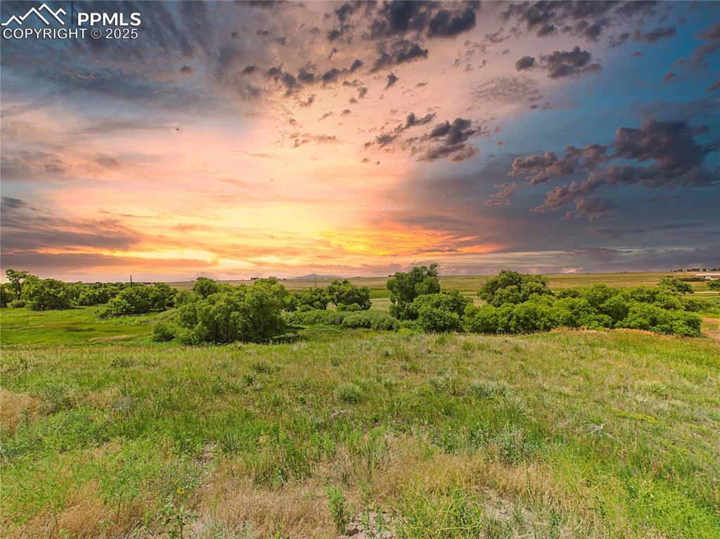 11834 Cave Spring Road Franktown, CO 80116 - Photo 43 of 50 a view of a field with an ocean