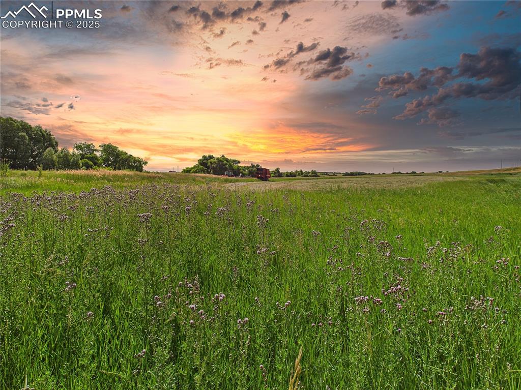 11834 Cave Spring Road Franktown, CO 80116 - Photo 45 of 50 a view of an ocean