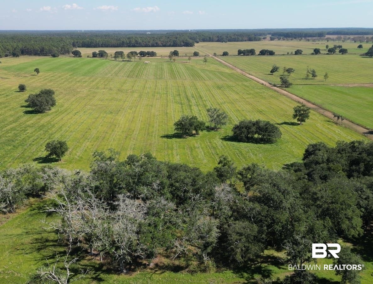 14313 Hemley Road Coden, AL 36523 - Photo 17 of 44 Bird's eye view featuring a rural view