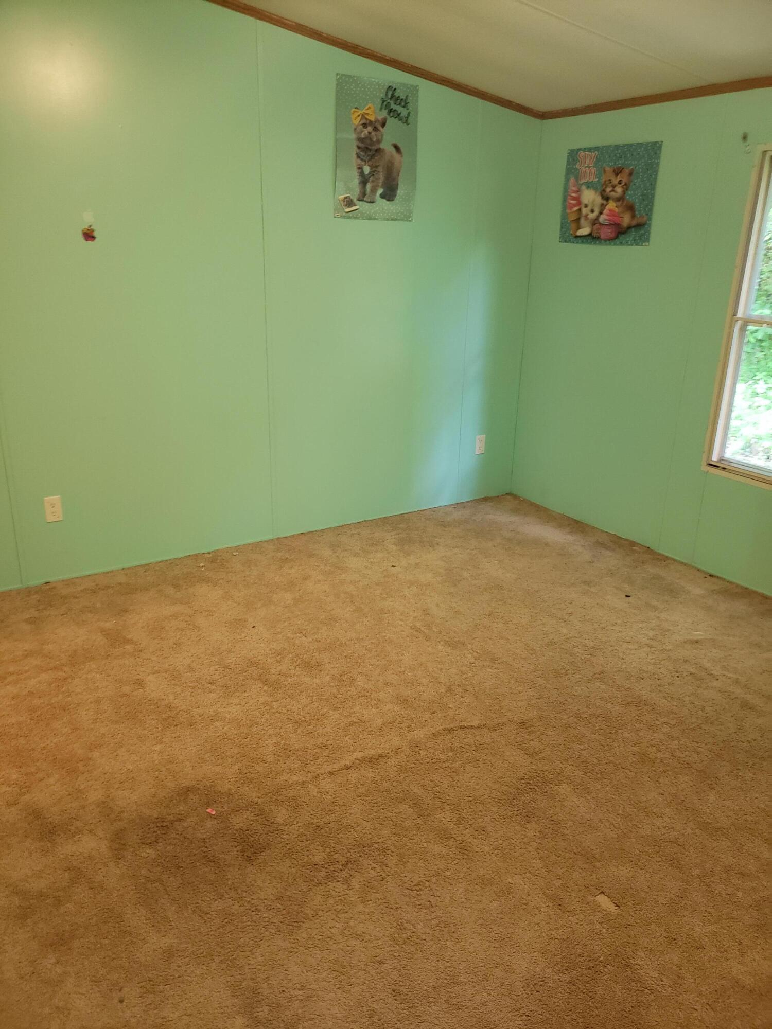 1449 Skelton Bluff Road Kingsport, TN 37660 - Photo 15 of 18 20220603_162426
