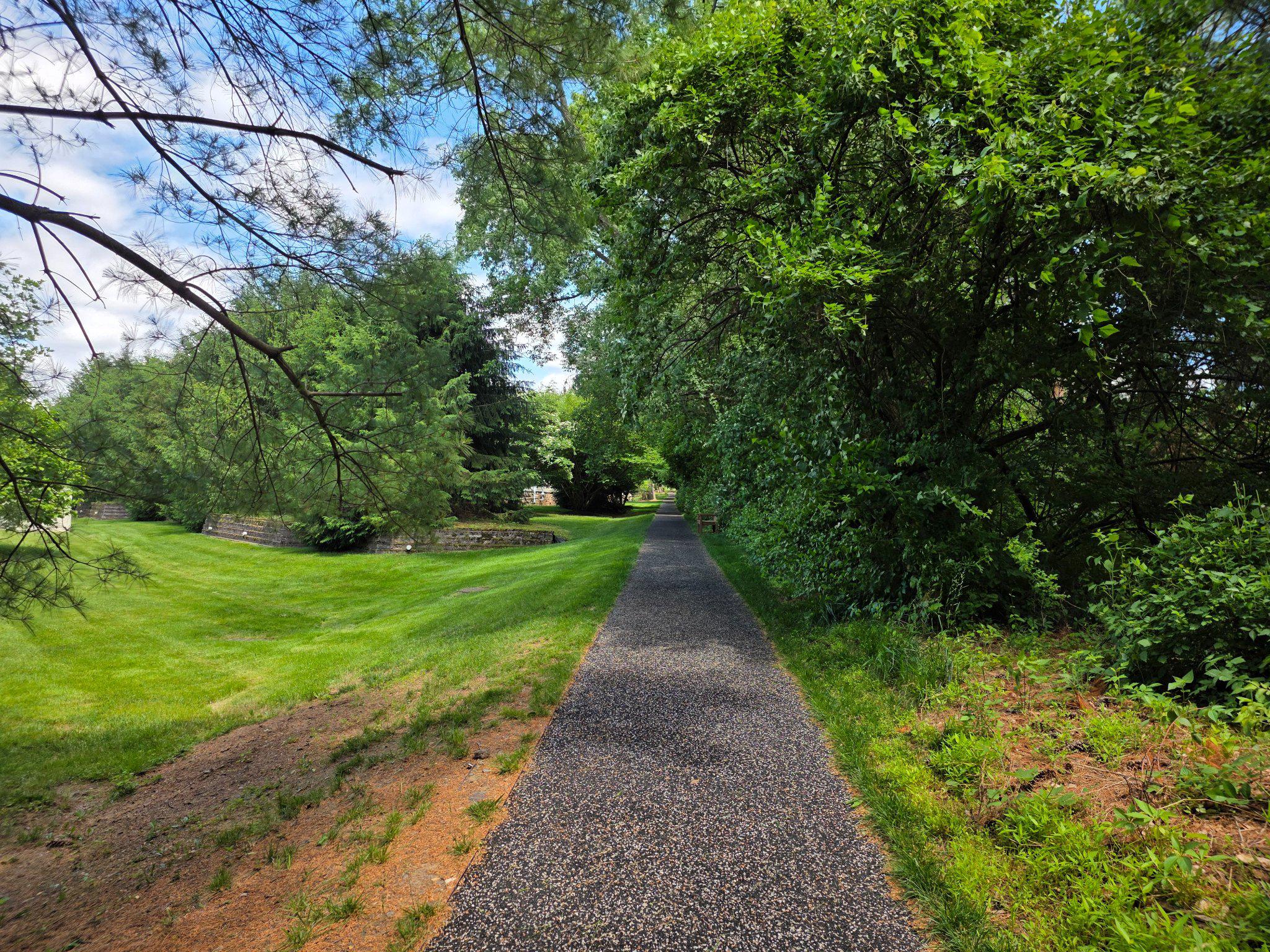 47 Hedge Row Road Princeton, NJ 08540 - Photo 17 of 21 a view of a yard with plants and a large tree