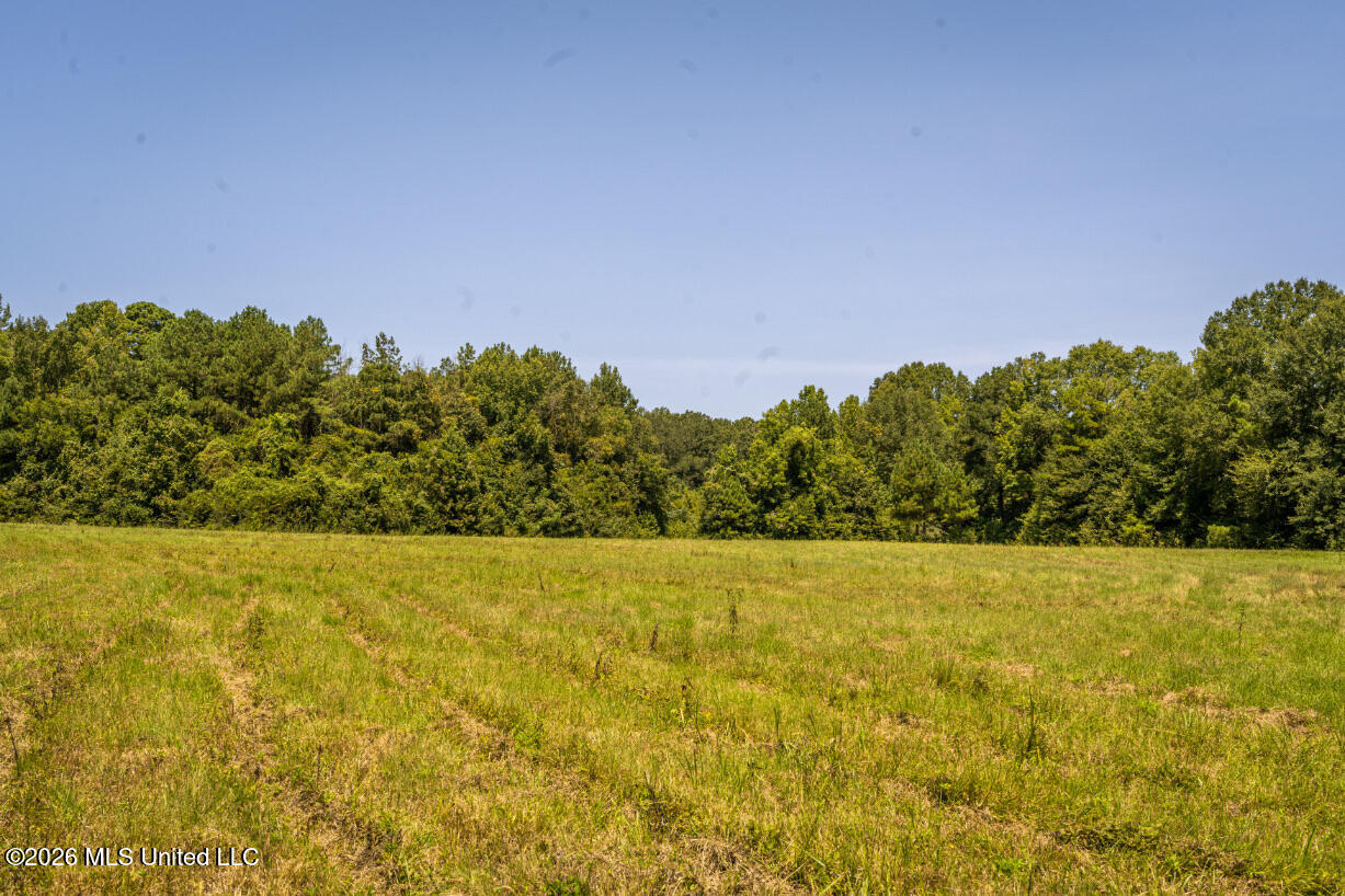 5056 Bethesda Road Crystal Springs, MS 39059 - Photo 42 of 48 DSC01840