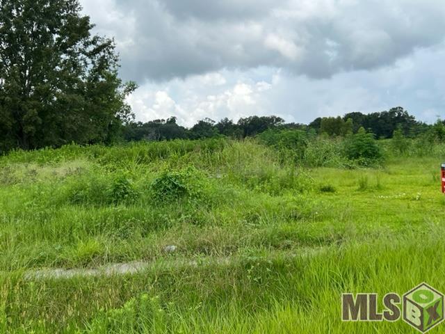 13061 Highway 73 Geismar, LA 70734 - Photo 2 of 2