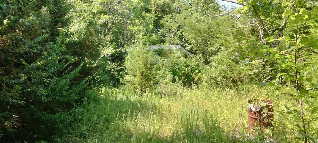 2437 Wegmann Trail De Soto, MO 63020 - Photo 2 of 12