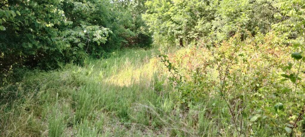 2437 Wegmann Trail De Soto, MO 63020 - Photo 3 of 12