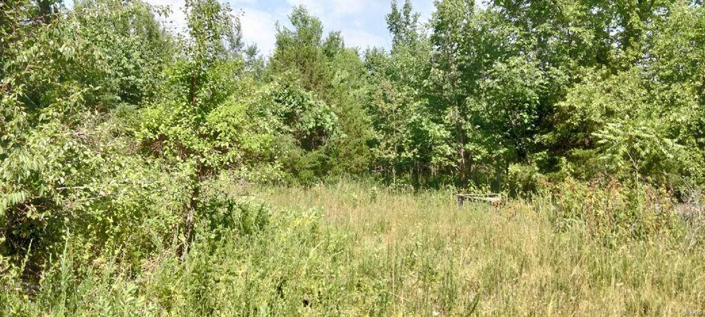 2437 Wegmann Trail De Soto, MO 63020 - Photo 6 of 12